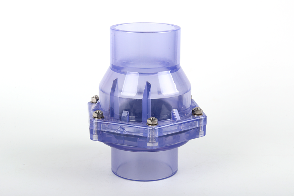 秦皇岛透明翻板式止回阀